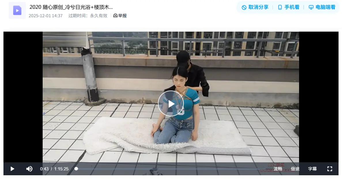 随心原创视频