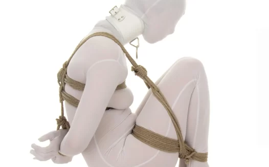 高级绳艺教程视频教学pdf详细图解版-绑球示例2