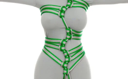 日式绳艺教学绑法视频教程pdf-蛇形图案的派对礼服