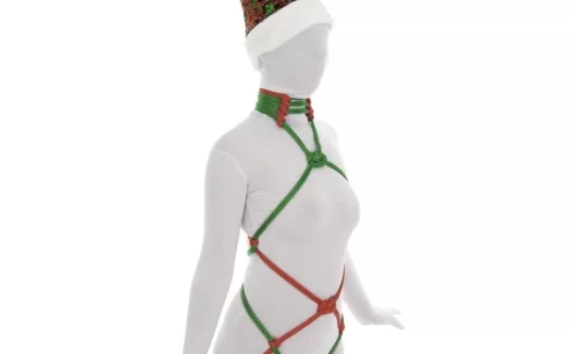 日式绳艺教学绑法视频教程pdf-圣诞装