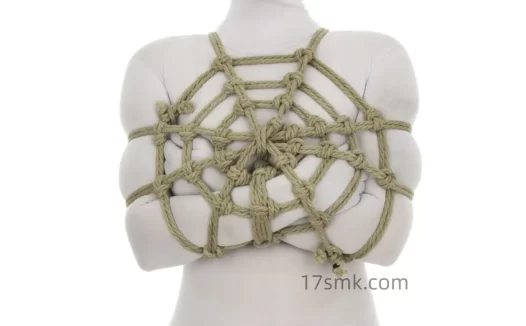 日式绳艺教学绑法视频教程pdf-蜘蛛网V1