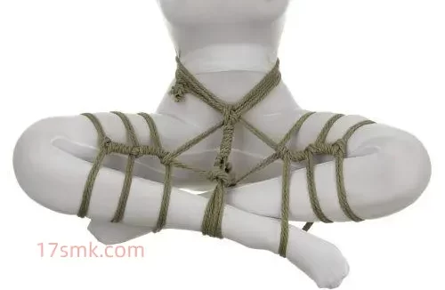 高级绳艺教程视频教学pdf详细图解版-坐缚（简易版）