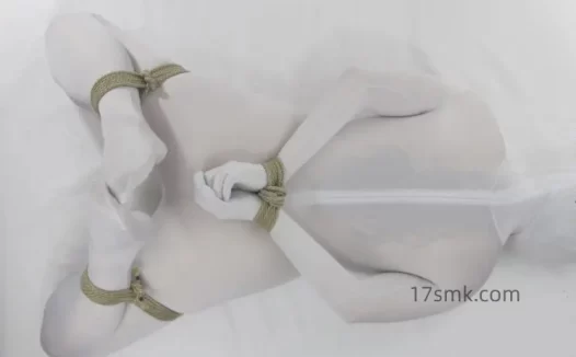 绳艺工作室绳束教程-驷马缚(无障碍)