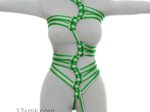 日式绳艺教学绑法视频教程pdf-蛇形图案的派对礼服