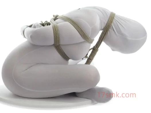 高级绳艺教程视频教学pdf详细图解版-海老缚