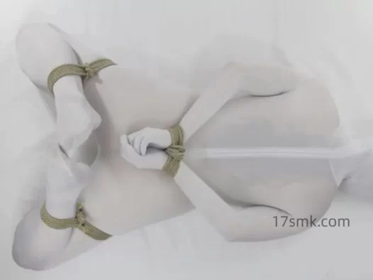 绳艺工作室绳束教程-驷马缚（无障碍）